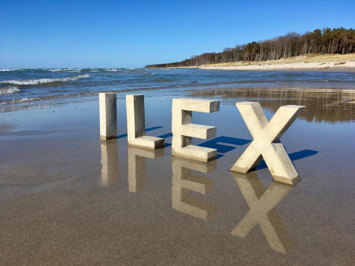 Ilex Born